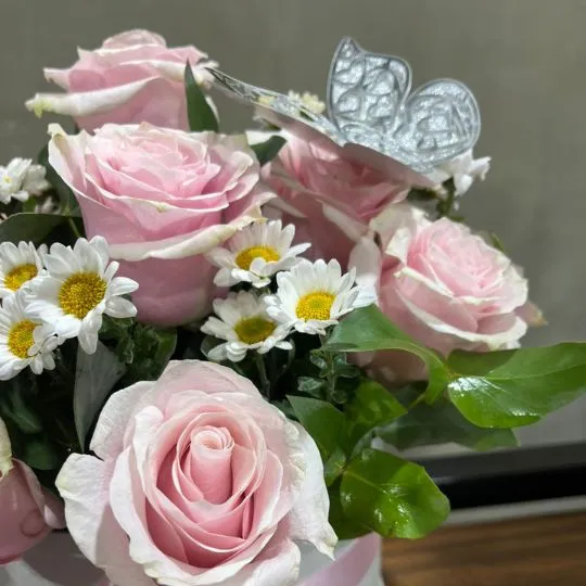 Caja pote con 15 rosas rosadas importadas